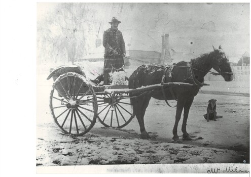 Man standing in cart, wearing heavy overcoat with butcher's apron, 2-wheel cart, with horse, dog seated just beyond the horse.  There is heavy snow, settled on horse, cart, man etc.