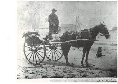 Man standing in cart, wearing heavy overcoat with butcher's apron, 2-wheel cart, with horse, dog seated just beyond the horse.  There is heavy snow, settled on horse, cart, man etc.