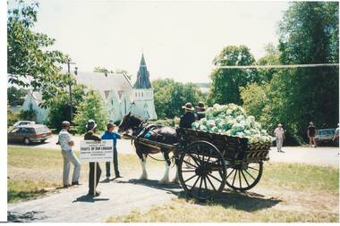 Colour photograph of Buninyong and District Historical Society horse drawn cart laden with cauliflowers waiting to join the parade,  Buninyong Uniting Church in the background.
