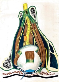 Painting - Anatomical drawing, untitled