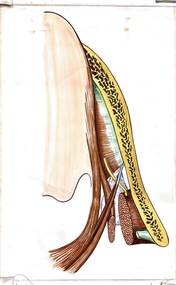 Painting - Anatomical drawing, untitled