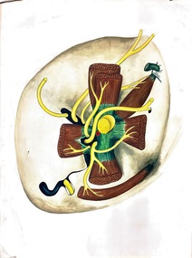 Painting - Anatomical drawing, untitled