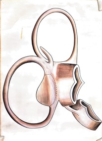 Painting - Anatomical drawing, untitled