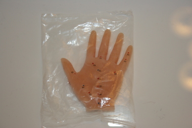 Model - Acupuncture hand model