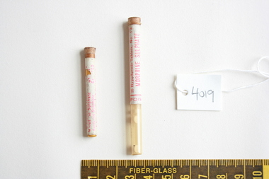 Container - Vial, Analgesic, Morphine Sulphate
