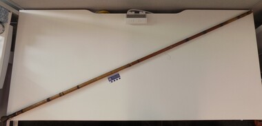 Long, narrow tube made of bamboo with a carved mouthpiece at one end. The engravings provide information about the correct plants to use to make poison for hunting. 
