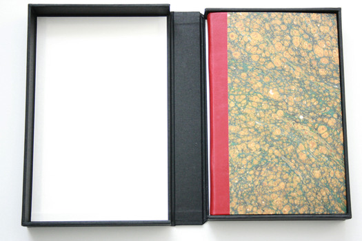Clover's casebook is stored in a custom case