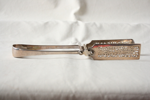 The pair of asparagus tongs.