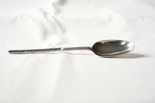 The sterling silver marrow spoon.