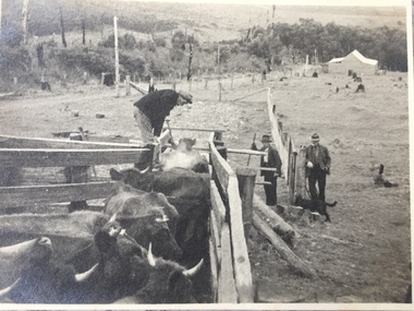 Film - John Marriner on Hordern Vale