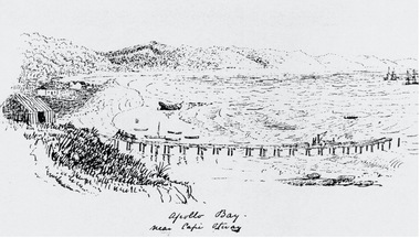 Film - John Verey on the Apollo Bay Golf Course