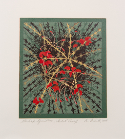 Print, Nanette Bourke, Starleaf Grevillea, 2008