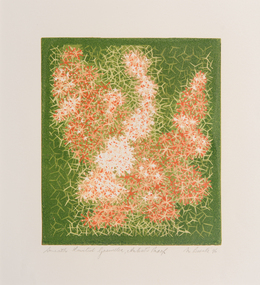 Print, Nanette Bourke, Smooth Fruited Grevillea, 1996