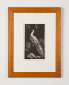 Mixed media, Lionel Lindsay, White Peacock