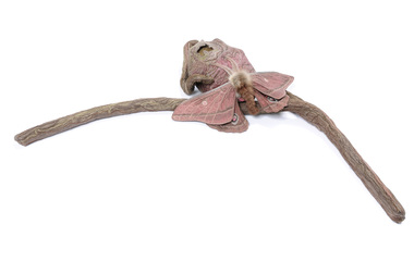Textile, Annemieke Mein, Pink Emperor Gum Moth, 1982