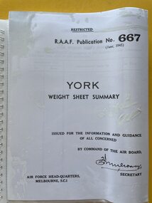 Manual (Item) - (SP) AAP 667 Weight Sheet Summary for York