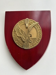 Plaque (Item) - Royal Aeronautical Society 1866 Wooden Plaque