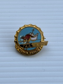 Badge (Item) - TAA 5 Years Service Badge