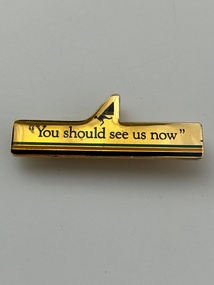 Badge (Item) - TAA " You Should See Us Now " Promotional Badge