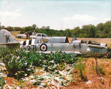 Photograph (item) - Firefly - Fairey RAN WD828 crashed