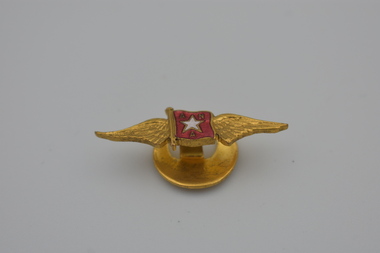 Badge (item) - Australian National Airways (ANA) Enamel Lapel Pin