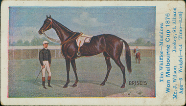 Cigarette Card, race horse Briseis, 1906