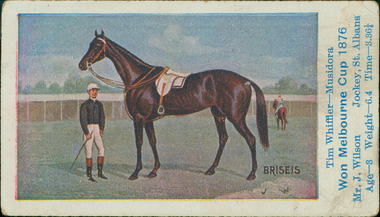 Cigarette Card, race horse Briseis, 1906