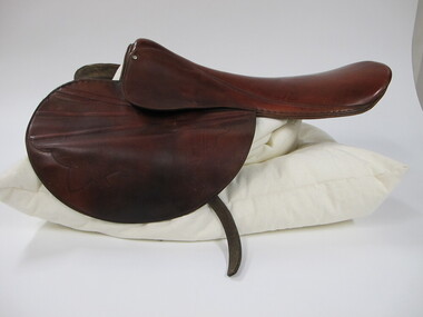 Saddle, race horse