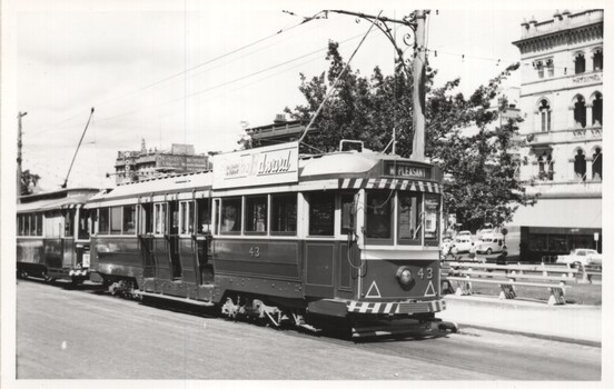 Ballarat tram 43 Sturt St 11-3-1961