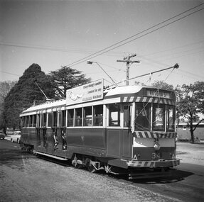 tram 34 at Victoria St, Ballarat