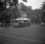 Tram 13 at the Gardens Loop in Wendouree Parade.