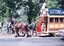 Coupling up the horses for the first horse tram trip - 7-11-1992