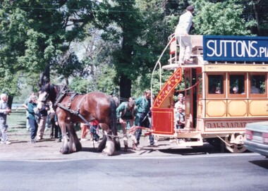 Coupling up the horses for the first horse tram trip - 7-11-1992