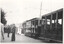 Bendigo trams - original ESCo trams