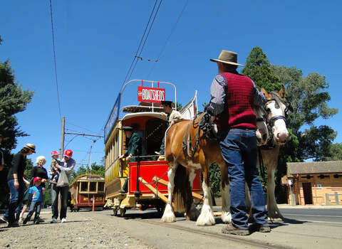 Horse tram at Gardens Loop