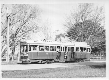 Tram 42, Wendouree Parade