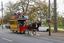 Digital images - BTM 2023 Horse Tram day - Wendouree Parade