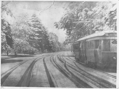 Photograph - Black & White Photograph/s - set of 2, late 1940s
