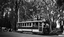 SEC No. 12 in 1930's colours at Gardens Loop - negative