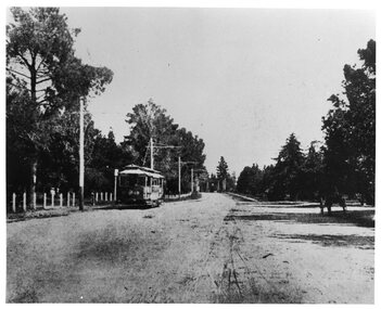 Photograph - Black & White Photograph/s, The Courier Ballarat, 1907