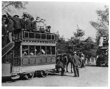 Horse trams at the Gardens