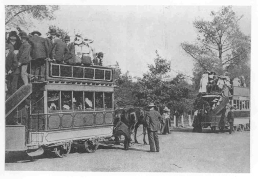 Horse trams at the Gardens