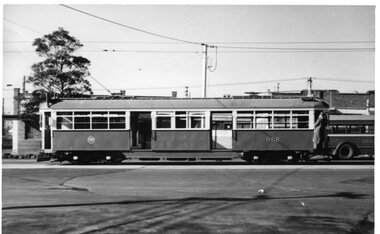 Photograph - Black & White Photograph/s, Geoff Grant, 19/06/1955 12:00:00 AM