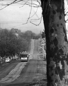 Photograph - Black & White Photograph/s, Peter Bruce, c1970