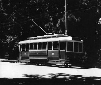 Photograph - Black & White Photograph/s, Jim Seletto, c1950