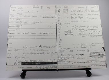 Wages information from the employee register c1906