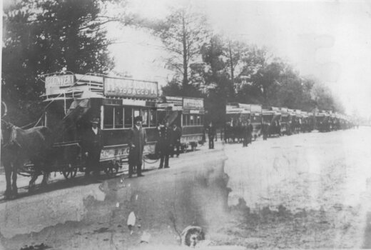 Horse trams - ESCo line up Wendouree Parade