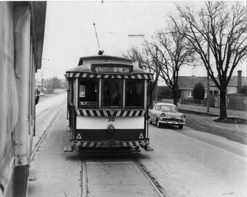 Photograph - Black & White Photograph/s, Lindsay Bounds, c1971