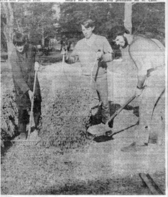 Newspaper, The Courier Ballarat, "Ballarat support for tramway preservation is small: President", 25/09/1972 12:00:00 AM