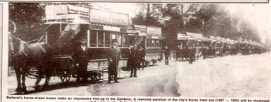 Horse trams lined up Wendouree Parade